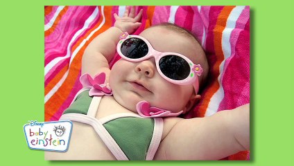 Baby Einstein - Baby Face Contest Winners