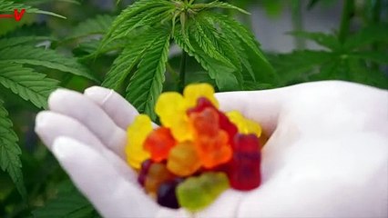 Marijuana Edibles and Children: What Parents Need to Know