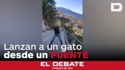 Piden endurecer penas por vídeo en el que un joven lanza un gato por un puente en Italia