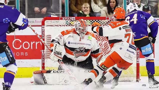 Sheffield Steelers - Aaron Fox on re-signing goalie Matt Greenfield