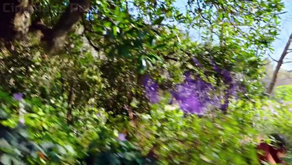 HAROLD AND THE PURPLE CRAYON - Adventurous Harold | Official Trailer (HD)