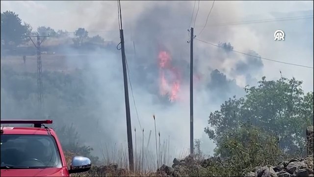 Ankara'da büyük yangın: Yerleşim yerine de sıçradı
