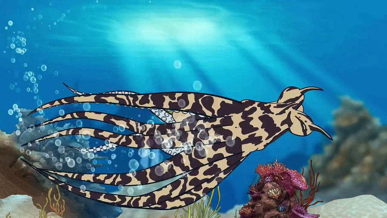 The Magic School Bus Rides Again s01e08