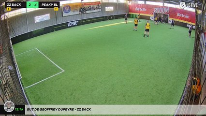 But de Geoffrey Dupeyre - ZZ BACK