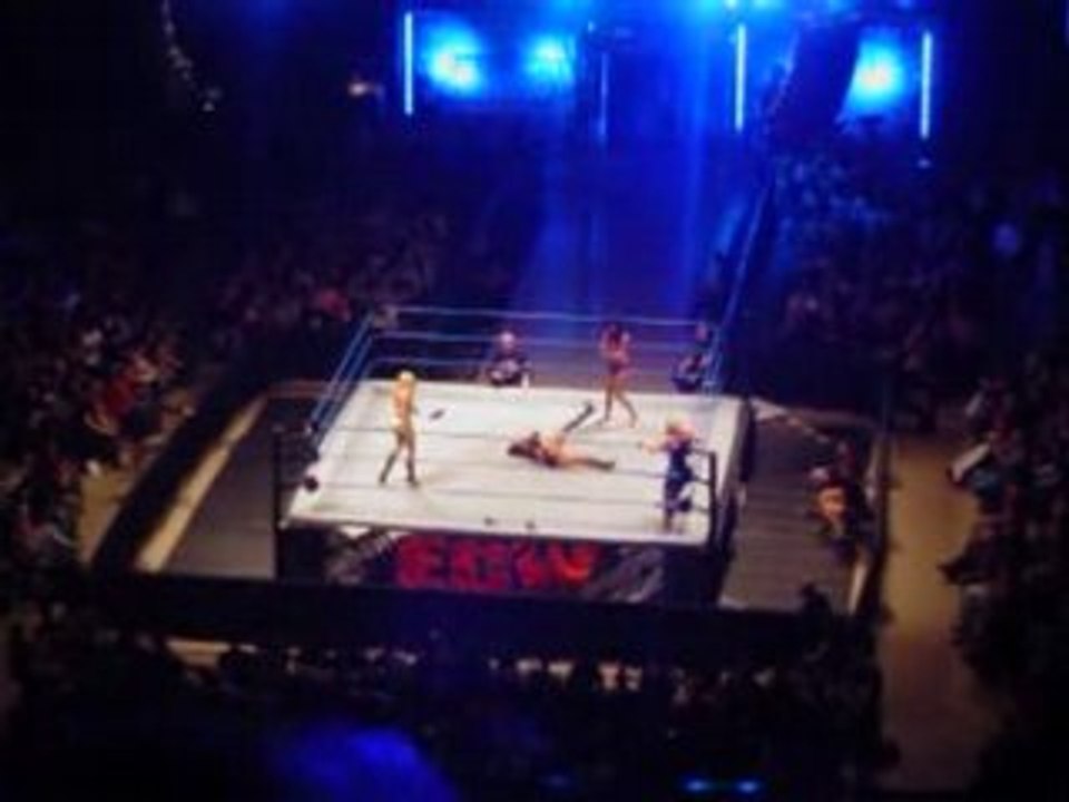 WWE Smackdown Divas fights