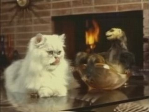 Banned Commercials - Budweiser