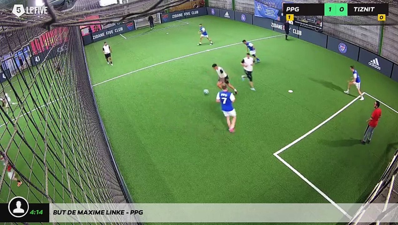 But de MAXIME LINKE - PPG