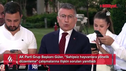 AK Parti Grup Başkanı Güler'den sahipsiz hayvanlara yönelik düzenlemeyle ilgili açıklama