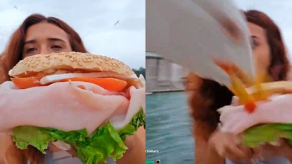Mujer es atacada en las calles de Venecia mientras hacía una transmisión en vivo por una parvada de gaviotas