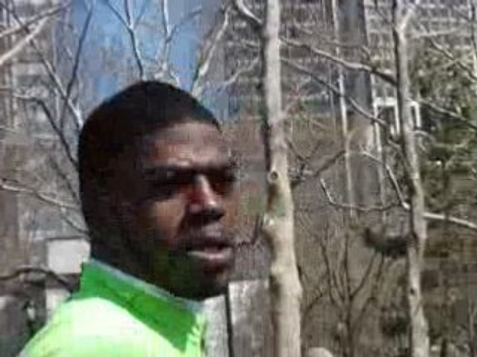 black acrobate