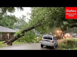 Powerful Winds From Hurricane Beryl Leave Extensive Damage In Their Wake