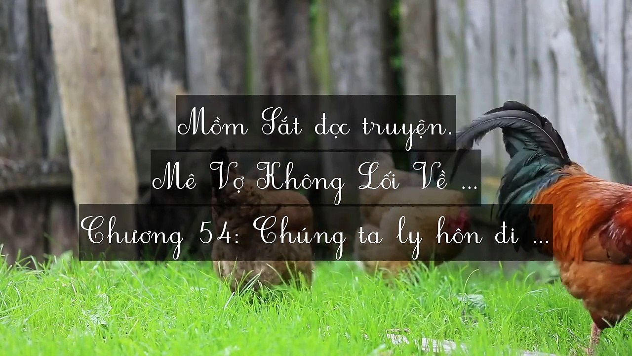Chương 51-60: Mê Vợ Không Lối Về
