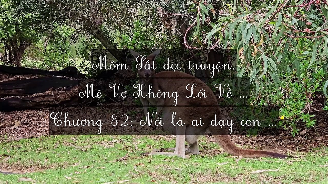 Chương 81-90: Mê Vợ Không Lối Về
