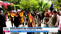 El Zoológico de Chapultepec cuenta con nuevos inquilinos