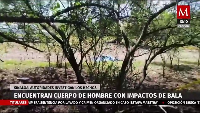 Localizan cuerpo de un hombre con impactos de bala en Sinaloa; fiscalía investiga los hechos
