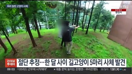 [사건사고] 고속도로 달리던 화물차서 맥주병 '와르르' 外