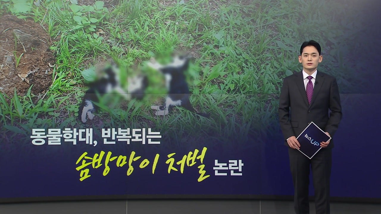 '동물은 물건이 아니다'...동물학대 솜방망이 처벌 논란 사라질까? [앵커리포트] /...
