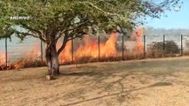 Jalisco, segundo estado más afectado por incendios en 2024
