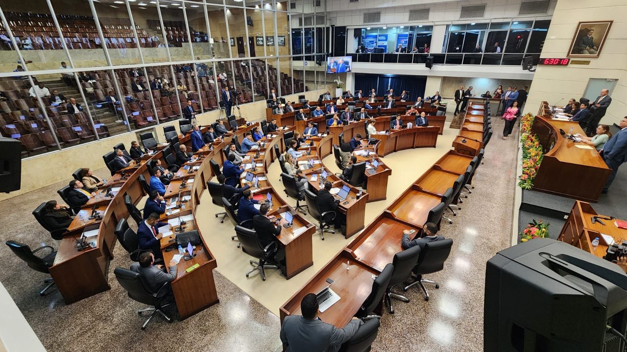 Presentan varios anteproyectos ante el Pleno de la Asamblea