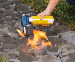 Affordable upgrade ideas for your yard!