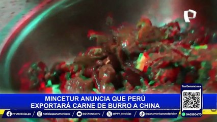 Ministra de Comercio Exterior anuncia posible exportación de carne de burro a China