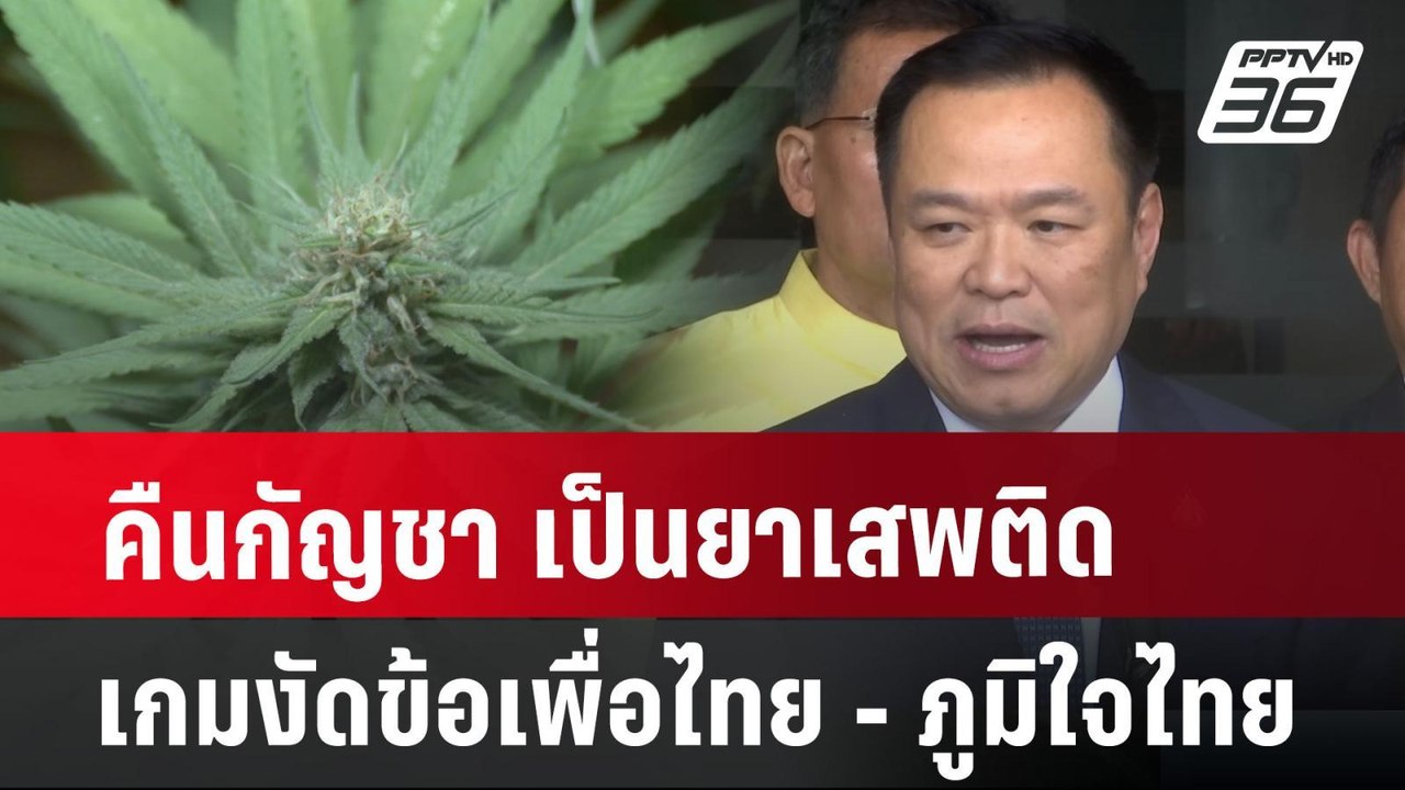 คืนกัญชา เป็นยาเสพติด เกมงัดข้อ เพื่อไทย - ภูมิ...