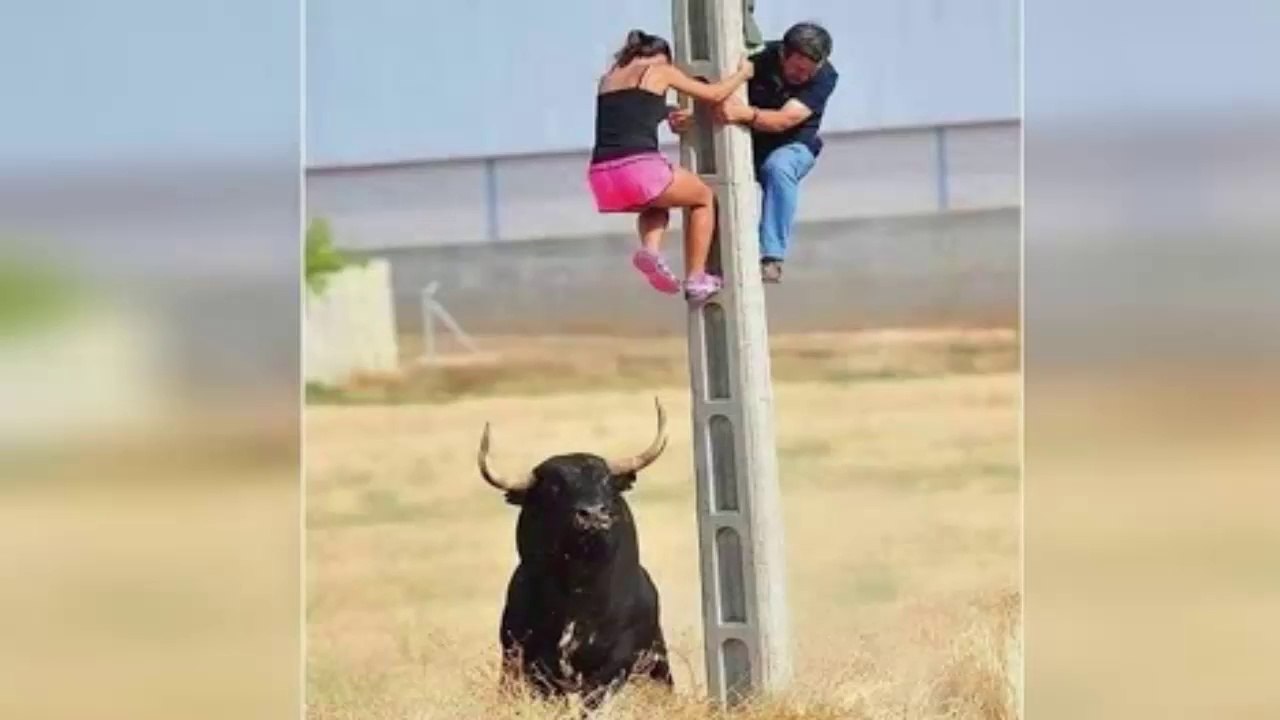 Funniest Fails Of The Year Compilation