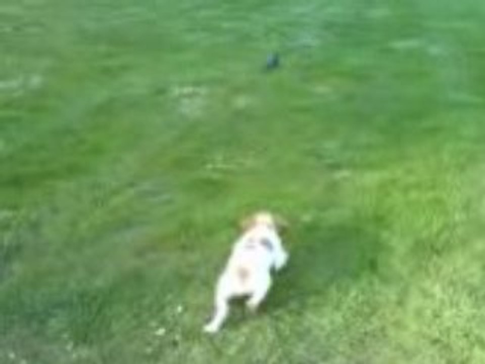 MOV00470