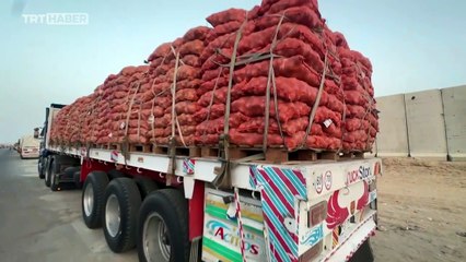 Gazze'de insani kriz: Yardım Refah sınırında haftalardır bekliyor