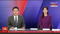 정부, 급발진 의심 사고에 '페달 블랙박스' 검토