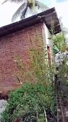 Virall !!! Detik Detik WC Longsor !!