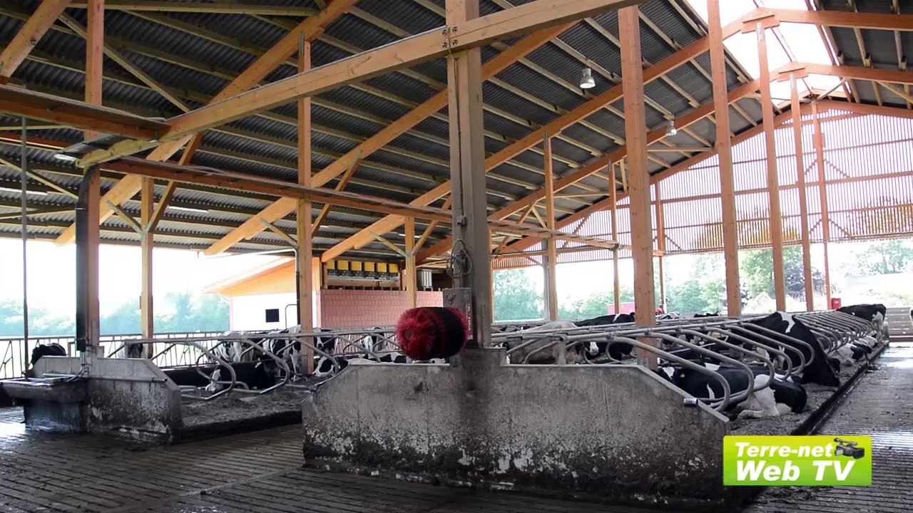320 vaches dans une stabulation ouverte aux quatre vents avec robots de traite