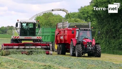 Récolté fin avril, le volume est là, la qualité un peu moins