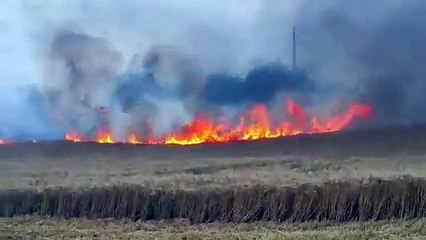 Brulant début de récolte pour Jérémy Voisin