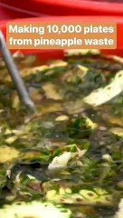 From trash to treasure #shorts #shortvideo #video #virals #videoviral #innovationhub