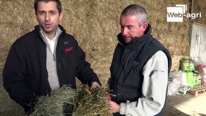Le Gaec Augros valorise ses charolaises à 4,5 €/kg avec son nutritionniste