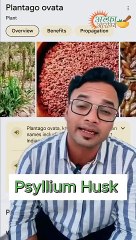 Benefits of Isabgol 🌿