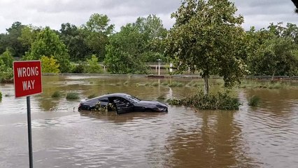 Mehrere Tote durch Tropensturm "Beryl" in den USA