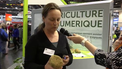 Produire plus et mieux : les bons conseils des partenaires du HubAgro