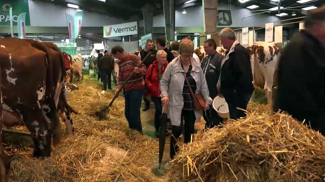 Jean-Yves Rissel : « 500 bovins de 13 races foulent les allées du salon »