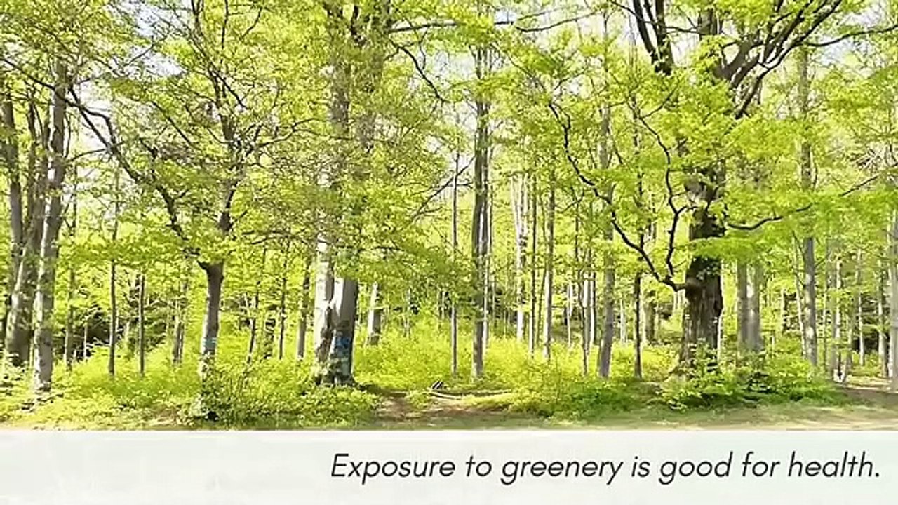 Healthy habits routine.