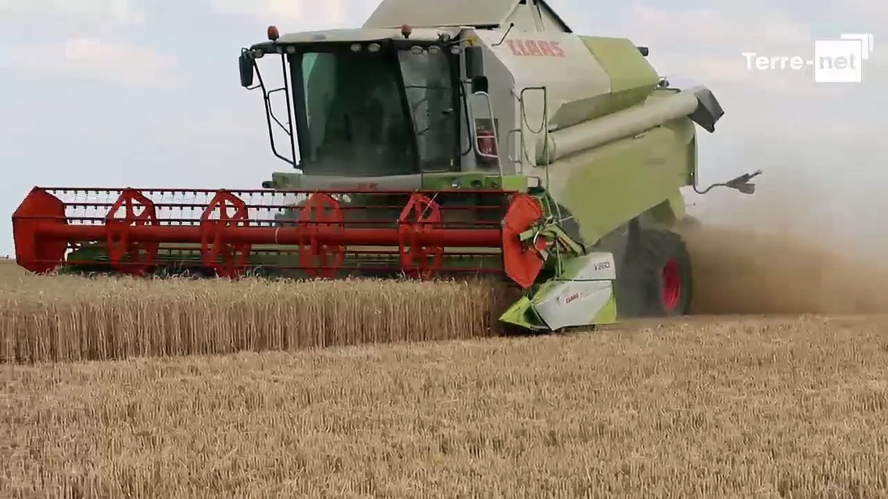 Emmanuel d'Hardivilliers vit sa première moisson en tant que jeune agriculteur
