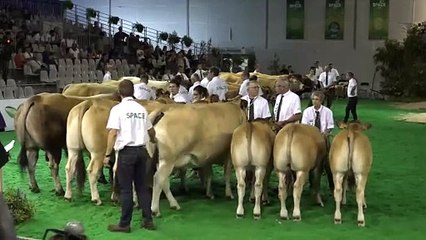 Didier Dupuis, président de l'OS : « La Parthenaise est une race haut de gamme »