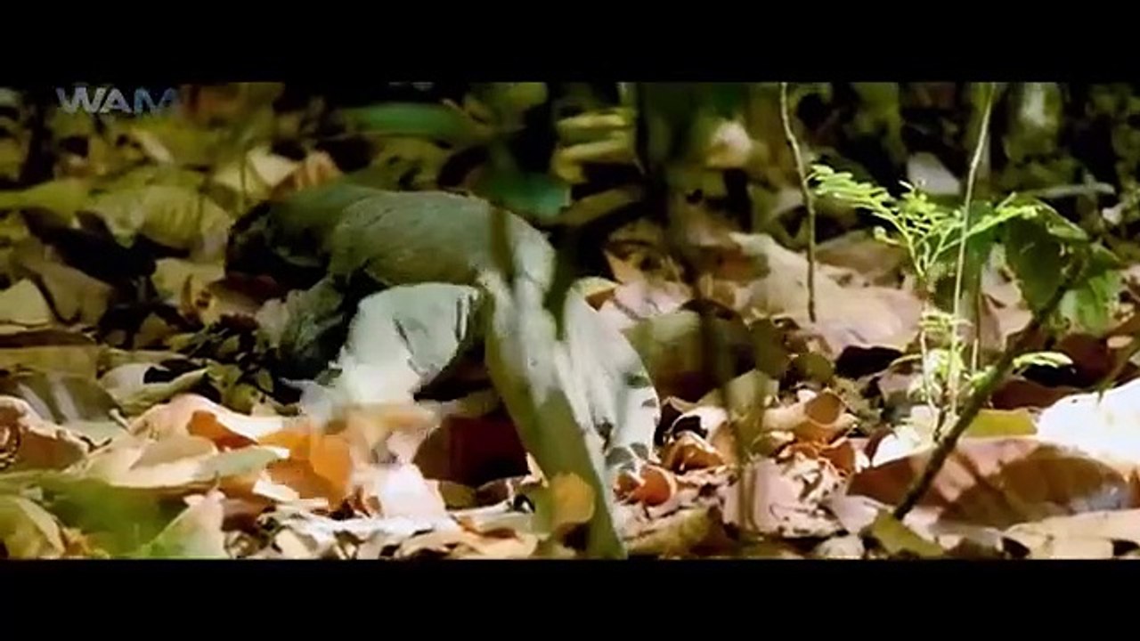 Maayon - New Released South Indian Hindi Dubbed Movie 2024 | South Dubbed Movie | South Movie 2024