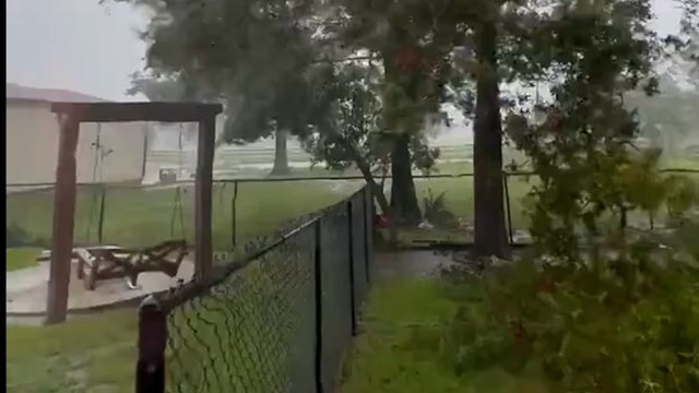Hurricane Beryl: Video shows strong winds and trees down as storm hits Texas