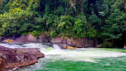 CAMPING ALONE IN A TROPICAL RAINFOREST ️
