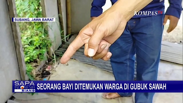 Diduga Dibuang, Bayi Laki-Laki Ditemukan di Gubuk Sawah Subang, Polisi Cari Orang Tuanya