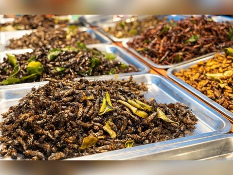 Insekten auf dem Teller: Dieses Land ist auf dem Vormarsch