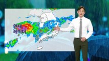 [날씨] 경기 남부·충청 장맛비...내일 서울 최대 150mm / YTN
