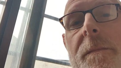 Stunning slo-mo footage of bumblebee trapped in window and its gentle release